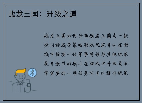战龙三国：升级之道